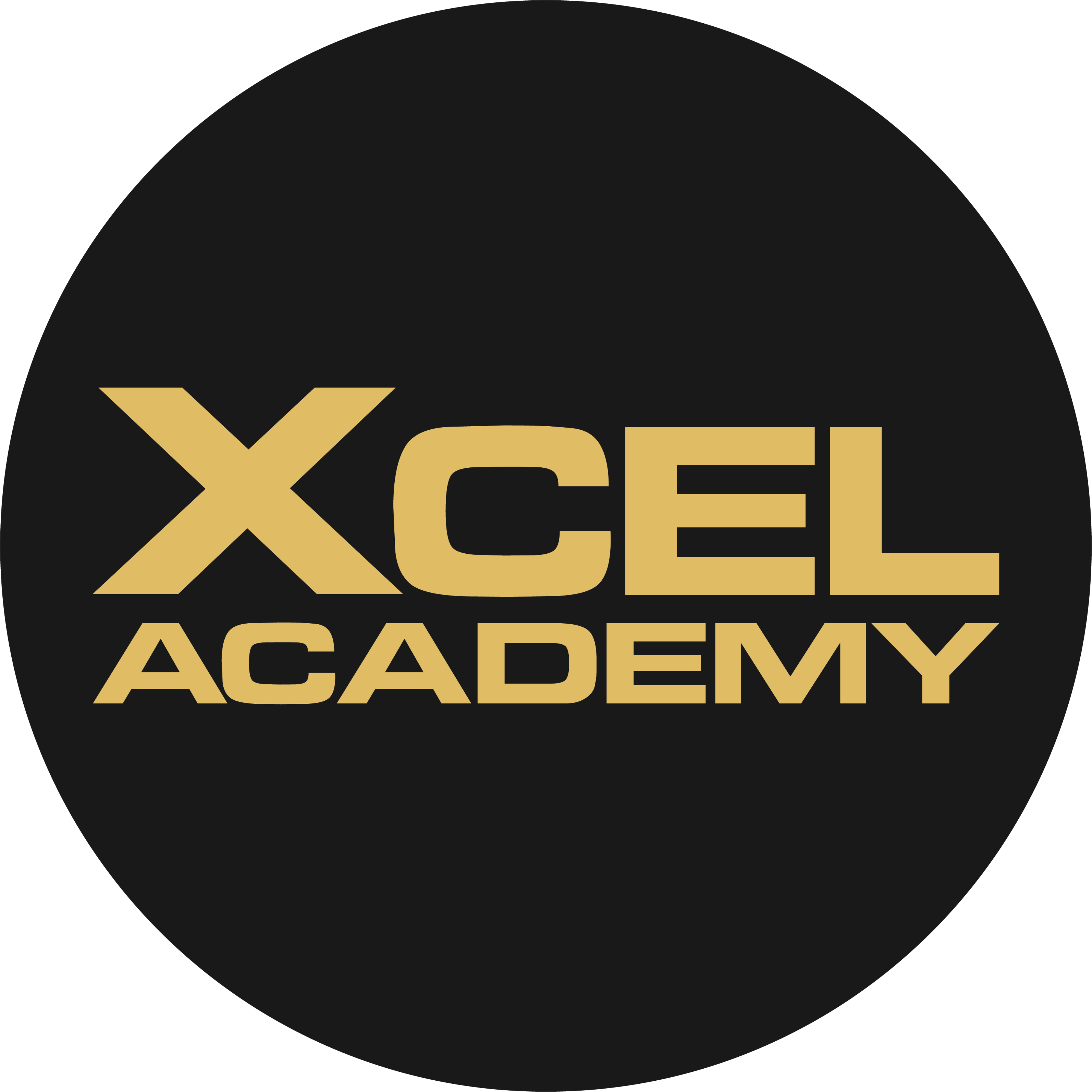 XCEL Academy